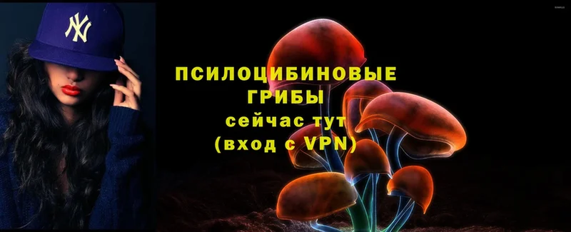 Галлюциногенные грибы MAGIC MUSHROOMS  Белёв 